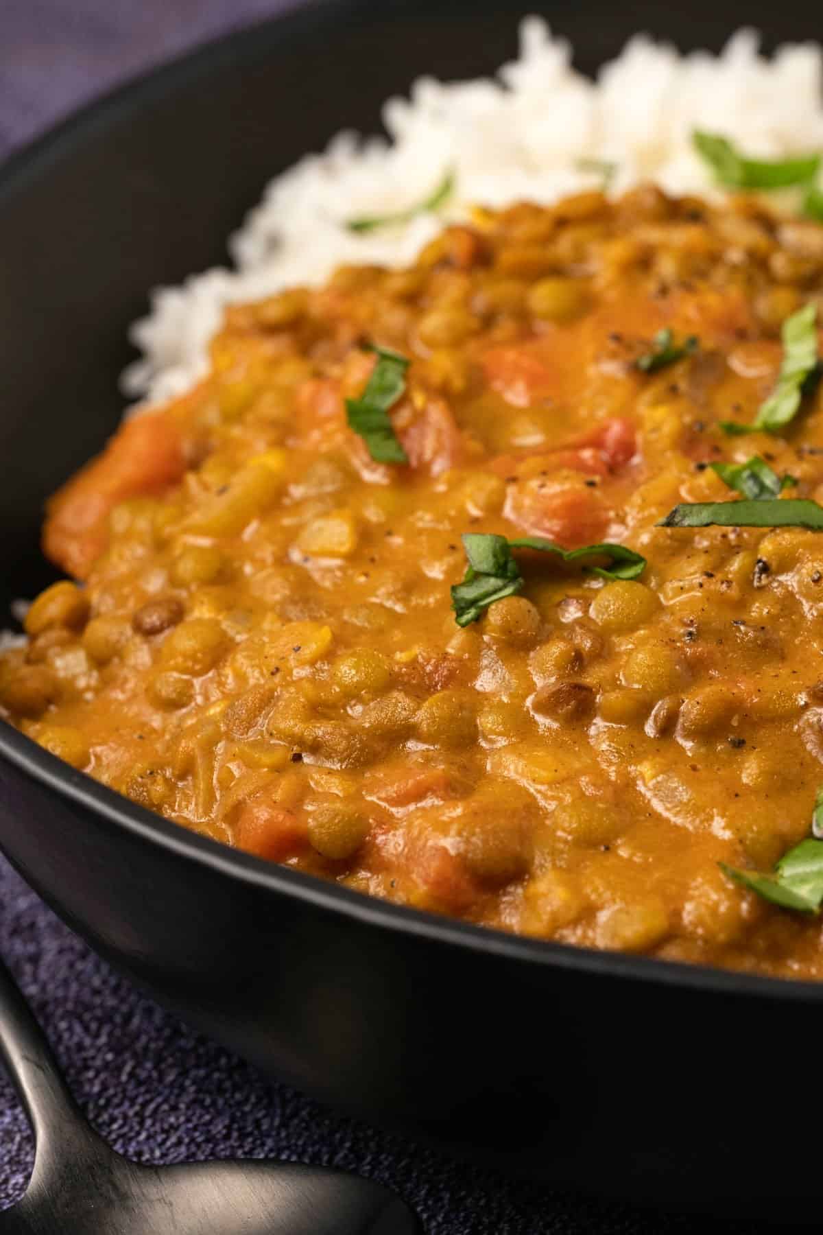 Lentil-Curry-14